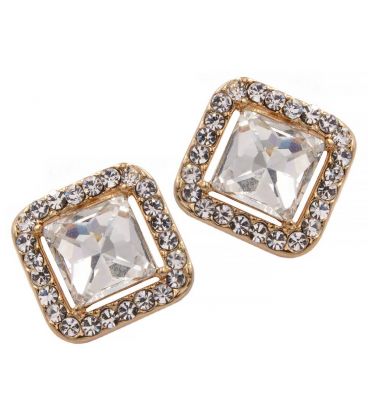 Сережки гвоздики з великим каменем