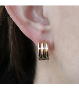 Сережки позолота "Смуга"